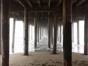 A pier with many wooden posts and pillars