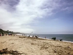 A beach with people and horses on it