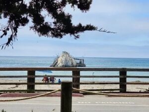 A view of the beach from across the street.